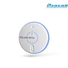 Измеритель температуры поверхности RELSIB WT51-S (с передачей данных по Bluetooth 4,0)